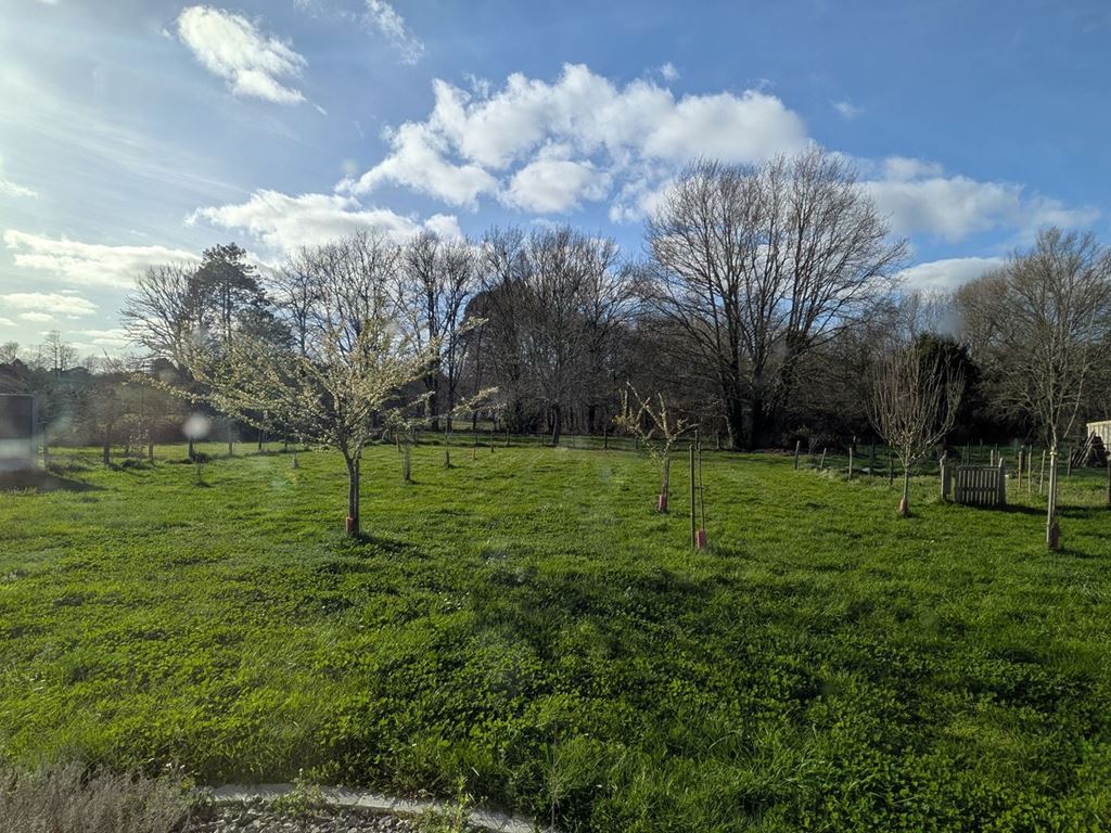 Maison Contemporaine MIOS (33380) IMMO BASSIN CONCEPT